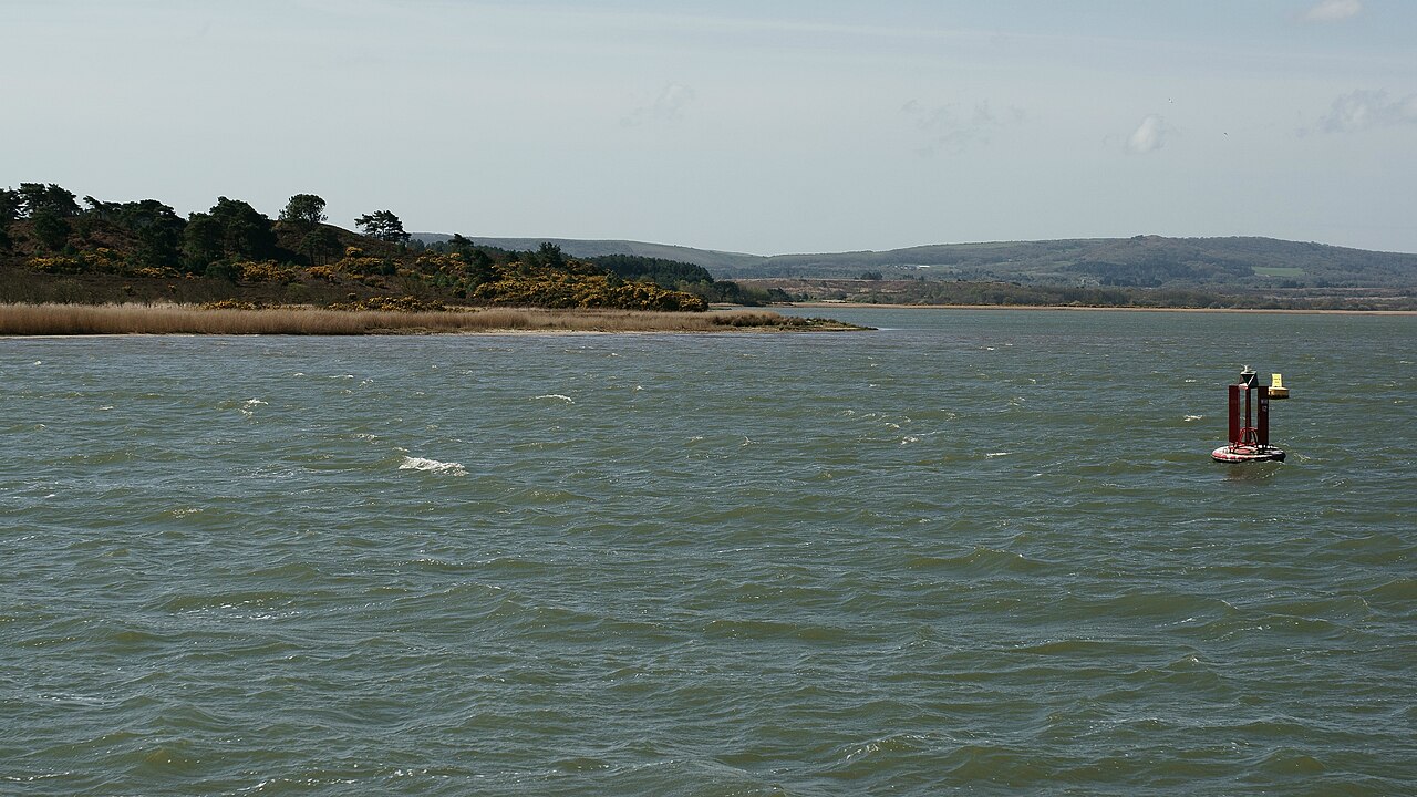 Arne Peninsula and wooded shoreline seen across Poole Harbour