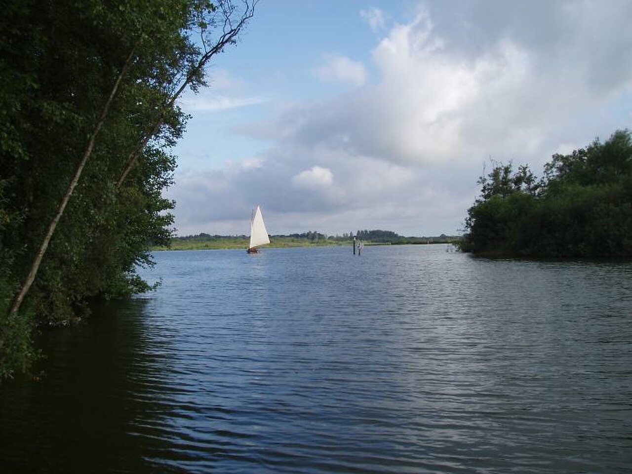 Sailing boat on Barton Broad between wooded banks