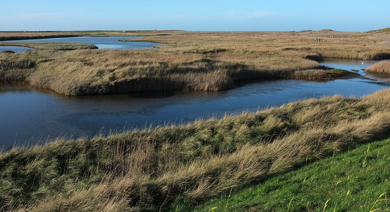 Reedbeds and open water beneath a wide sky at Cley Marshes