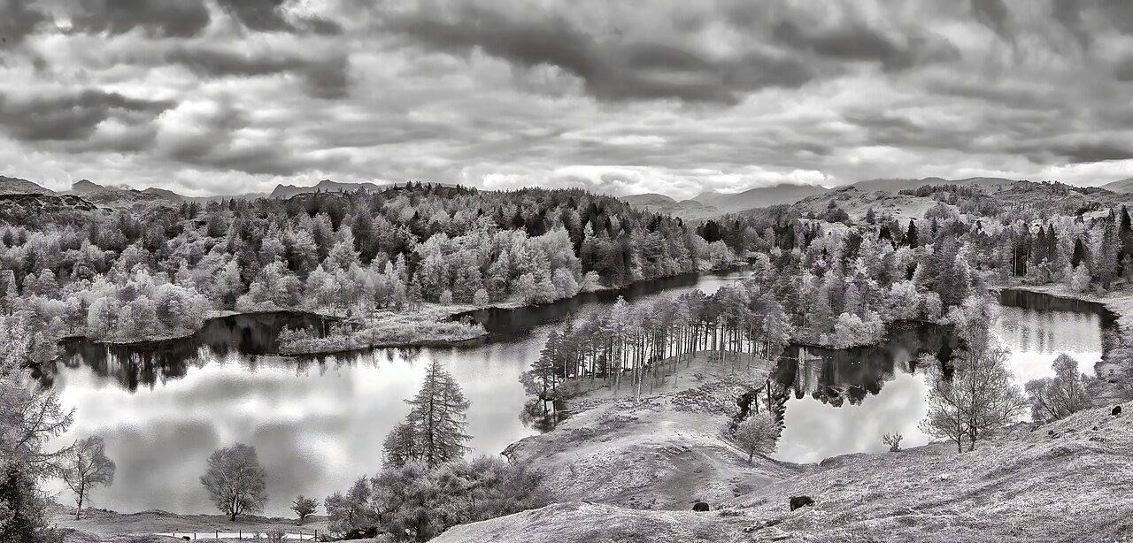 Clouds over tree-lined Tarn Hows in the Lake District