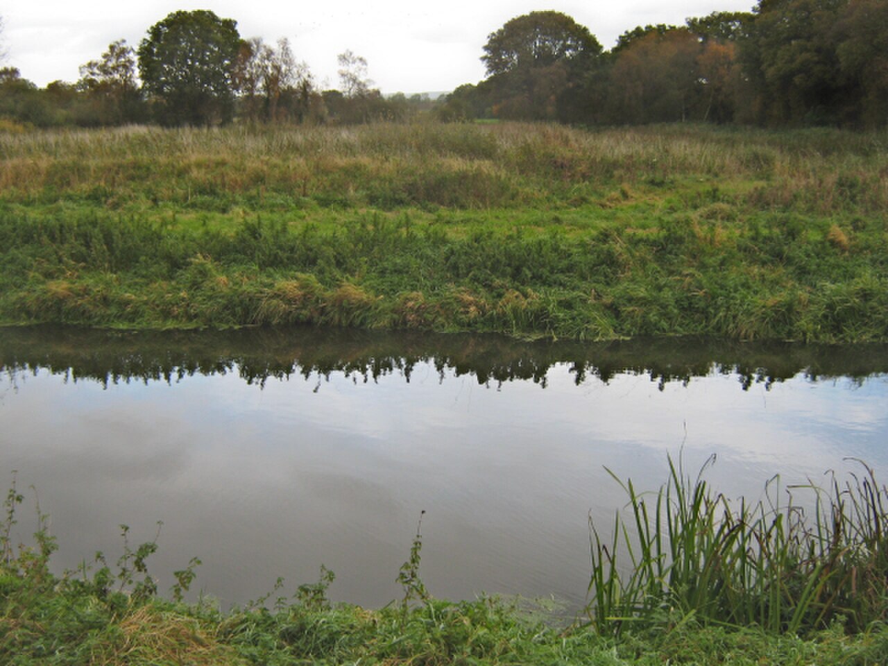 South Drain and wetland vegetation at Shapwick Heath