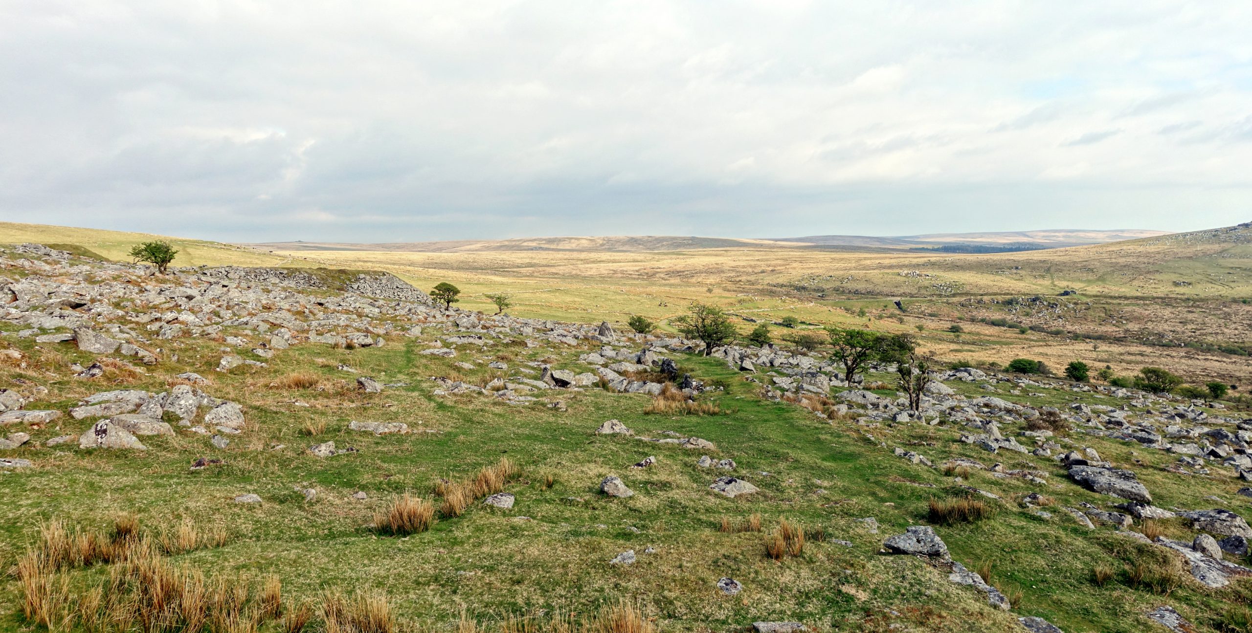 Open moorland near Princetown on Dartmoor