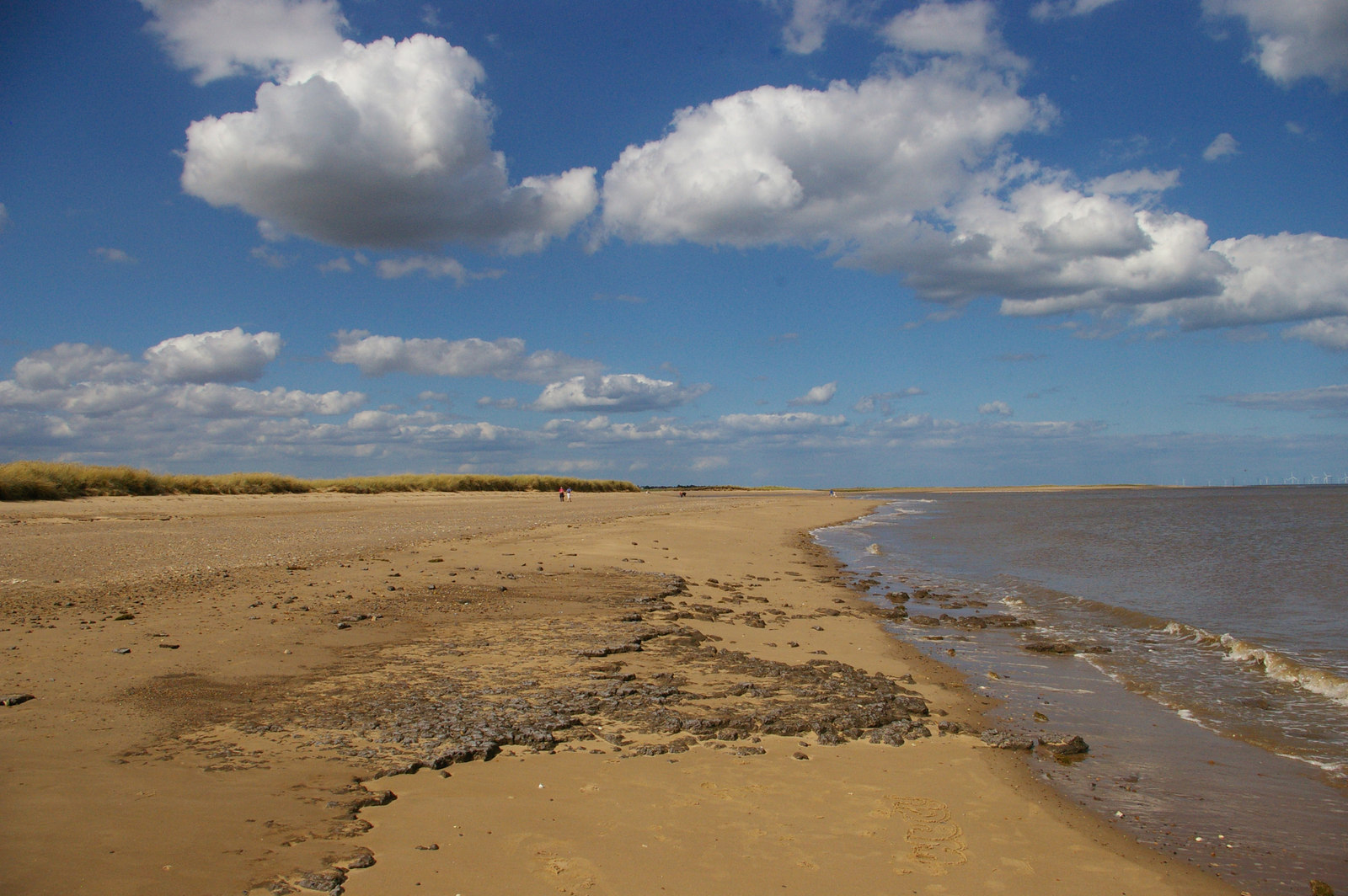 Sand, low dunes and the shoreline looking north at Gibraltar Point