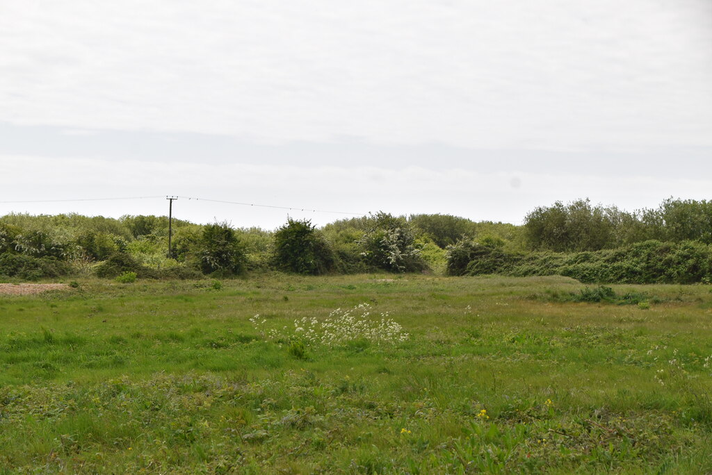 Wetland landscape at Rye Harbour Nature Reserve