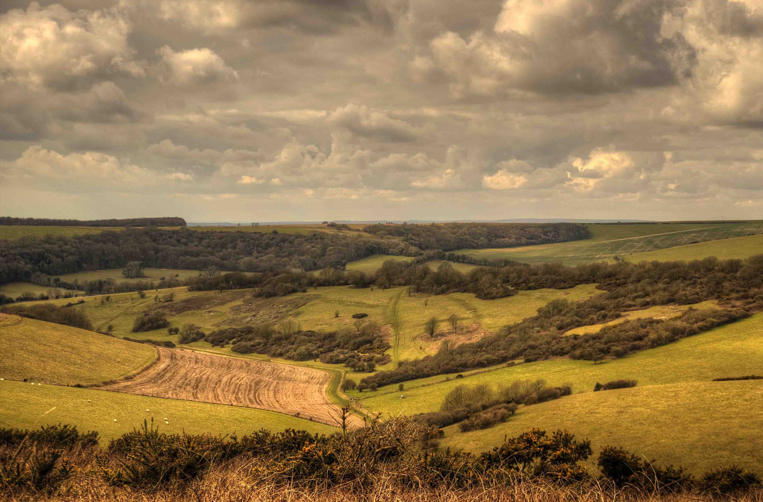 Open chalk downland seen from Butts Brow near Eastbourne