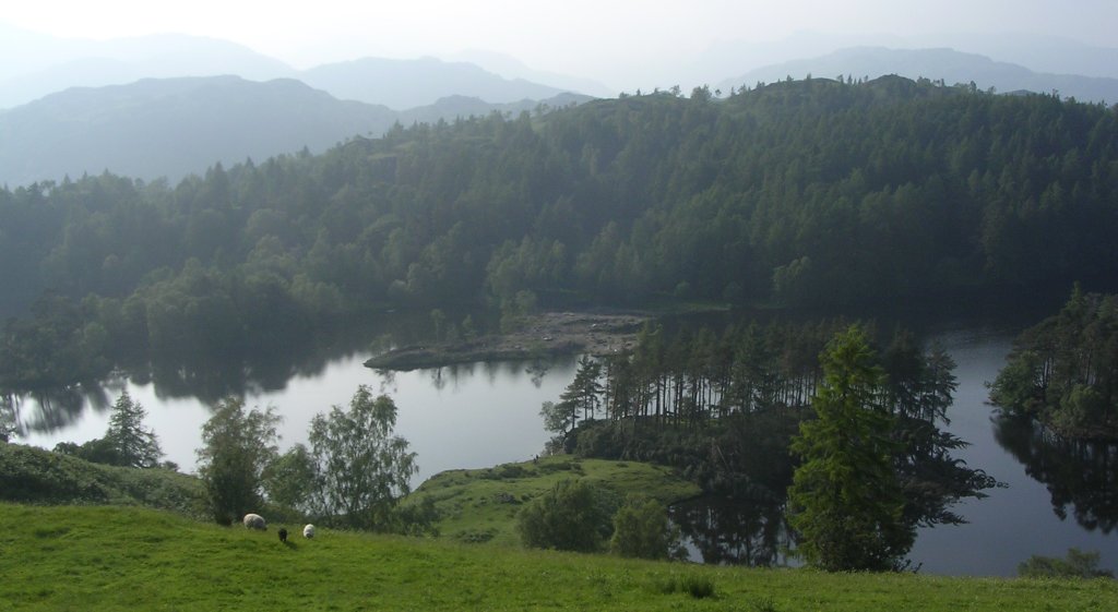 View across Tarn Hows towards the Lake District fells