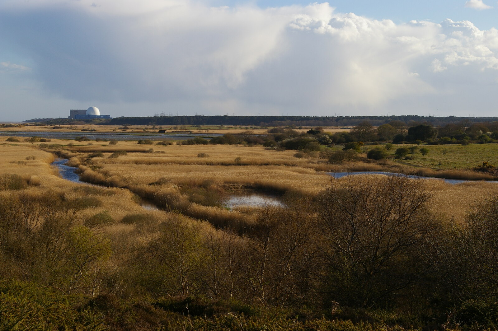 View across the pools at Minsmere with Sizewell in the distance